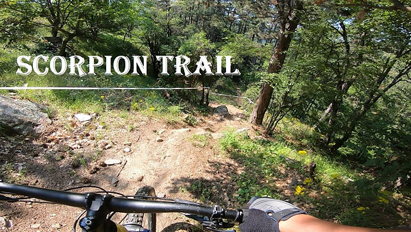trails-video-2019_niki-syanoev-scorpion-trail_pic.jpg